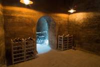 entwickelt_small-2279 (2)